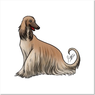 Afghan Hound Red Posters and Art